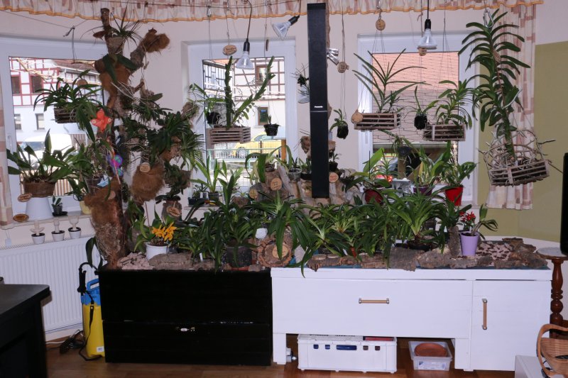Orchideenecke